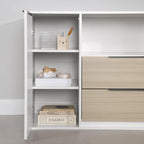 Hourra 2-Drawer Dresser with Door