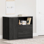 Hourra 2-Drawer Dresser with Door
