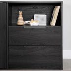Hourra 2-Drawer Dresser with Door