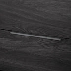 Hourra 2-Drawer Dresser with Door