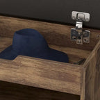Shoe Storage Bench Rack with Seat