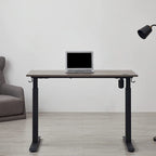 KOWO Electric Standing Desk 48 Height Adjustable Sit Stand Workstation w/Memory Preset, Home Office Desk