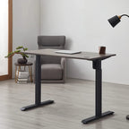 KOWO Electric Standing Desk 48 Height Adjustable Sit Stand Workstation w/Memory Preset, Home Office Desk